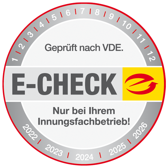 E-Mobilität in Mannheim, der E-Check